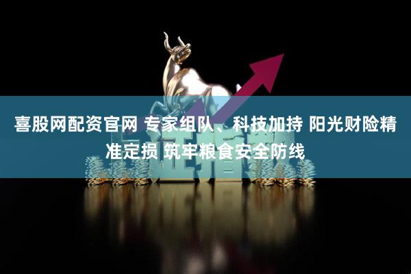 喜股网配资官网 专家组队、科技加持 阳光财险精准定损 筑牢粮食安全防线