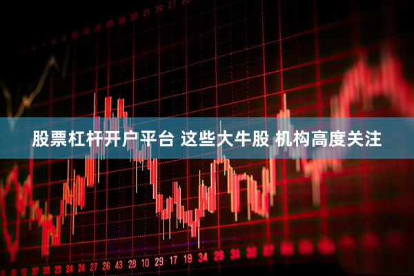 股票杠杆开户平台 这些大牛股 机构高度关注