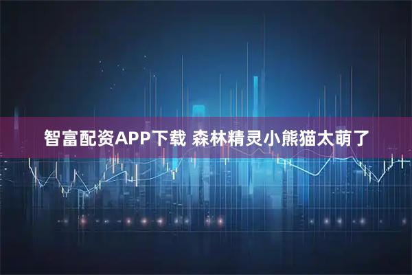 智富配资APP下载 森林精灵小熊猫太萌了